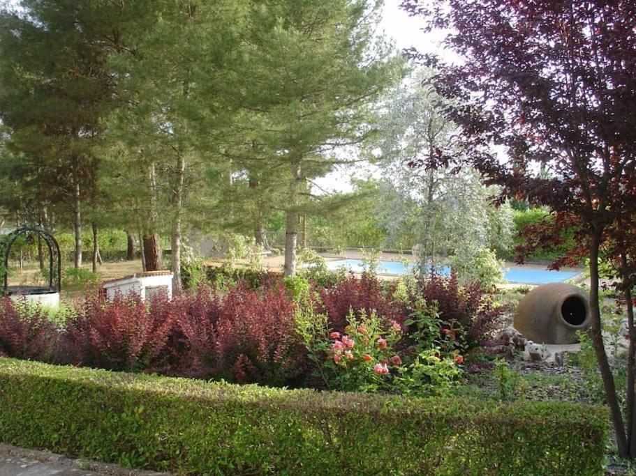 Villa Antares Para 2 A 10 Personas En Renera 외부 사진
